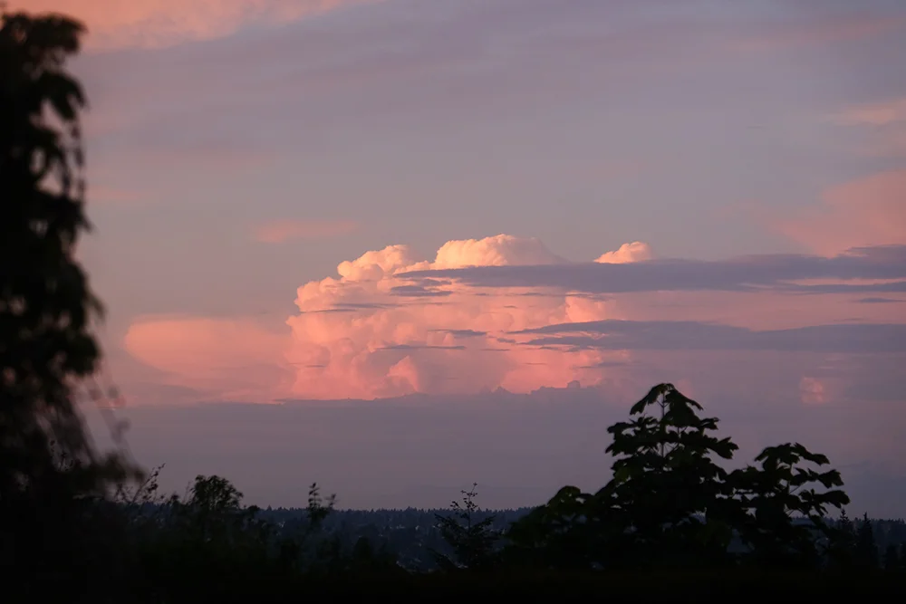 DSCF0503.JPG
