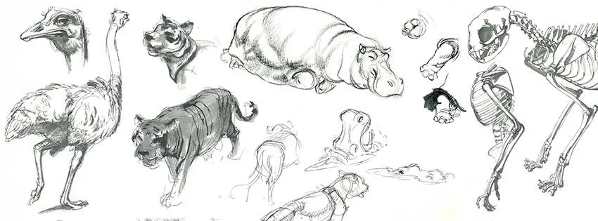 Desenho - Nunca subestime o poder do Life Drawing (parte 1/2)