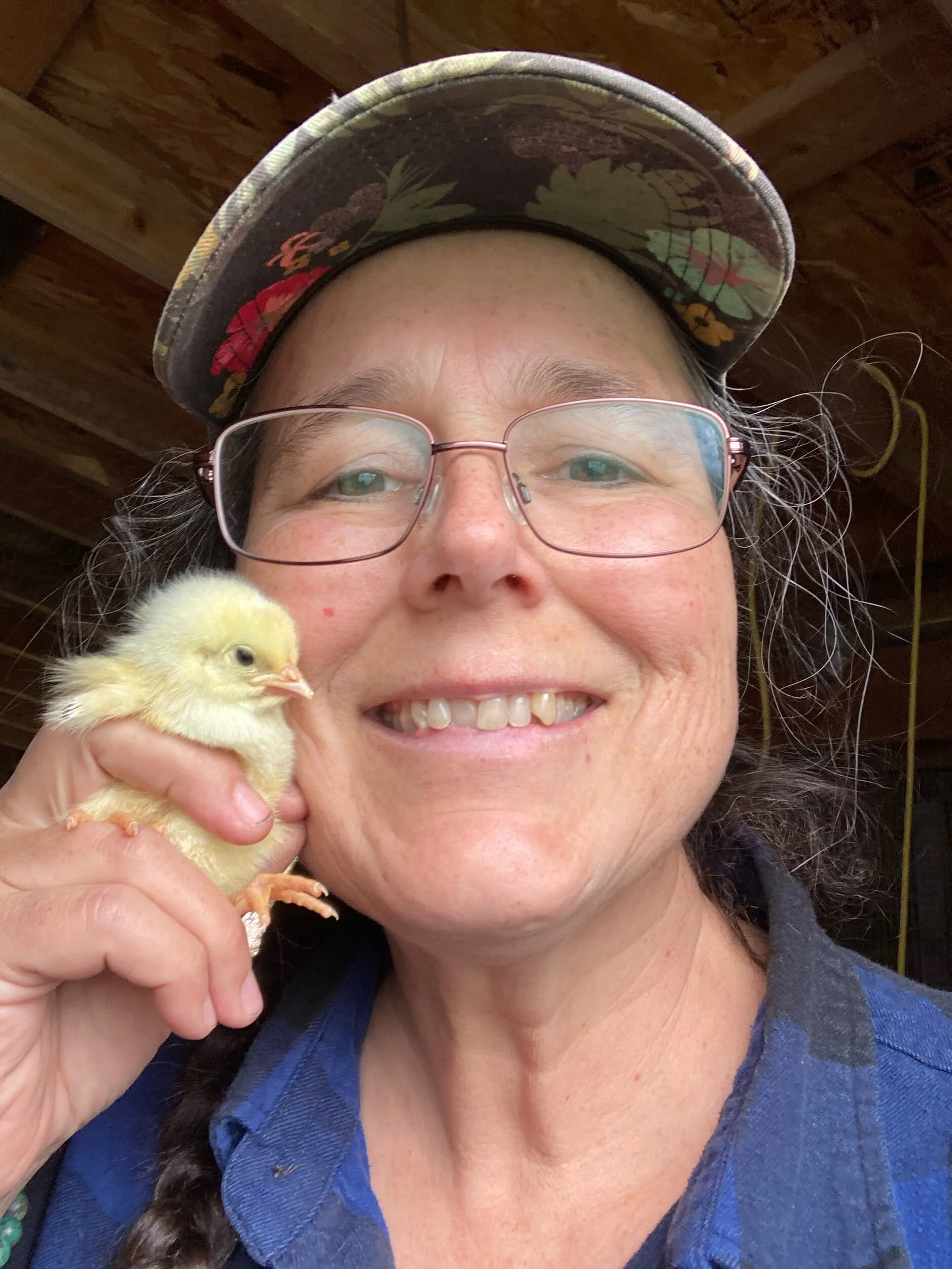 You aren’t supposed to kiss your chickens, so we do the cheek smush instead. This is probably a 2 day old chick.