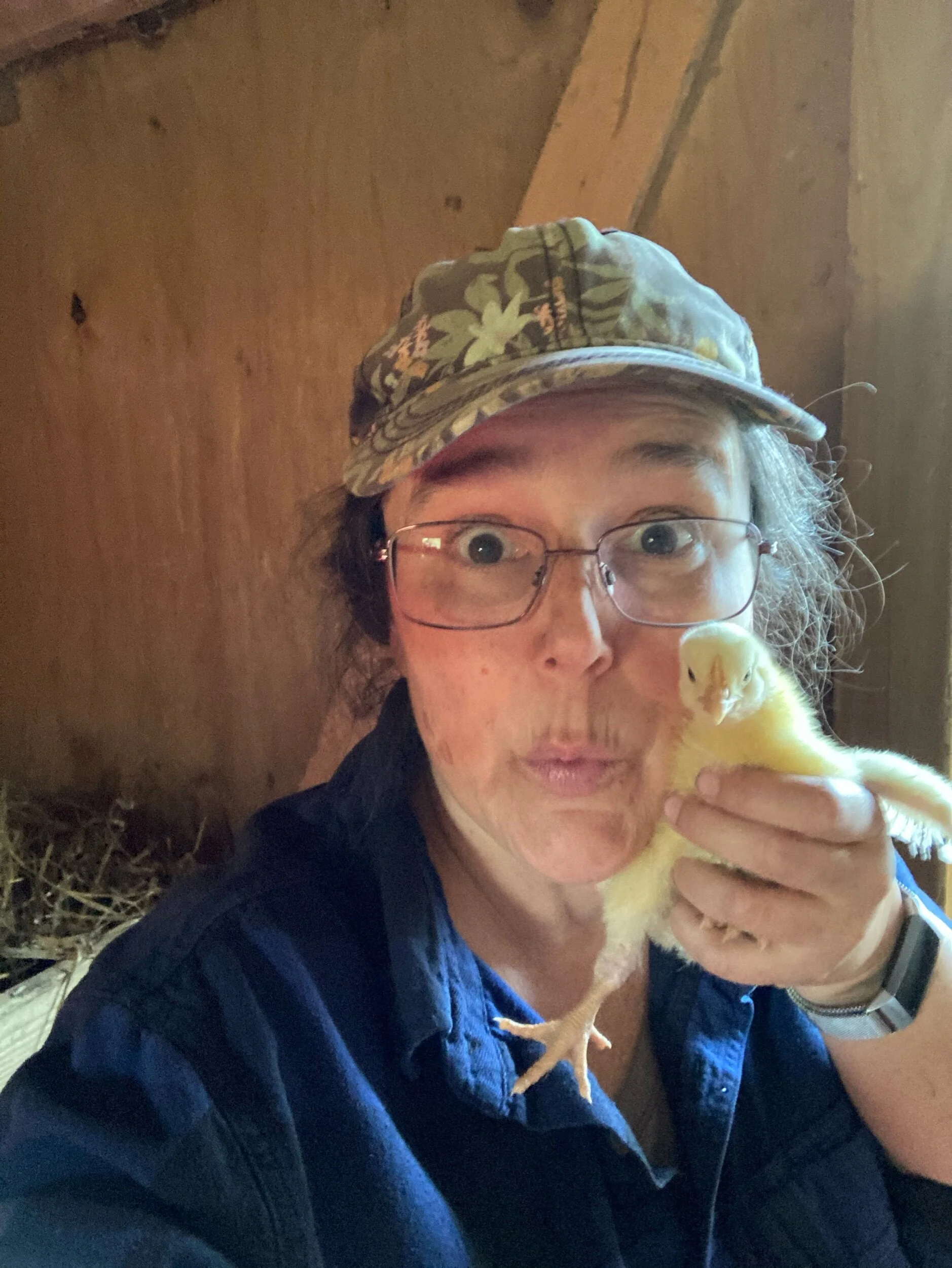 Cheek smushing my one week old chick.