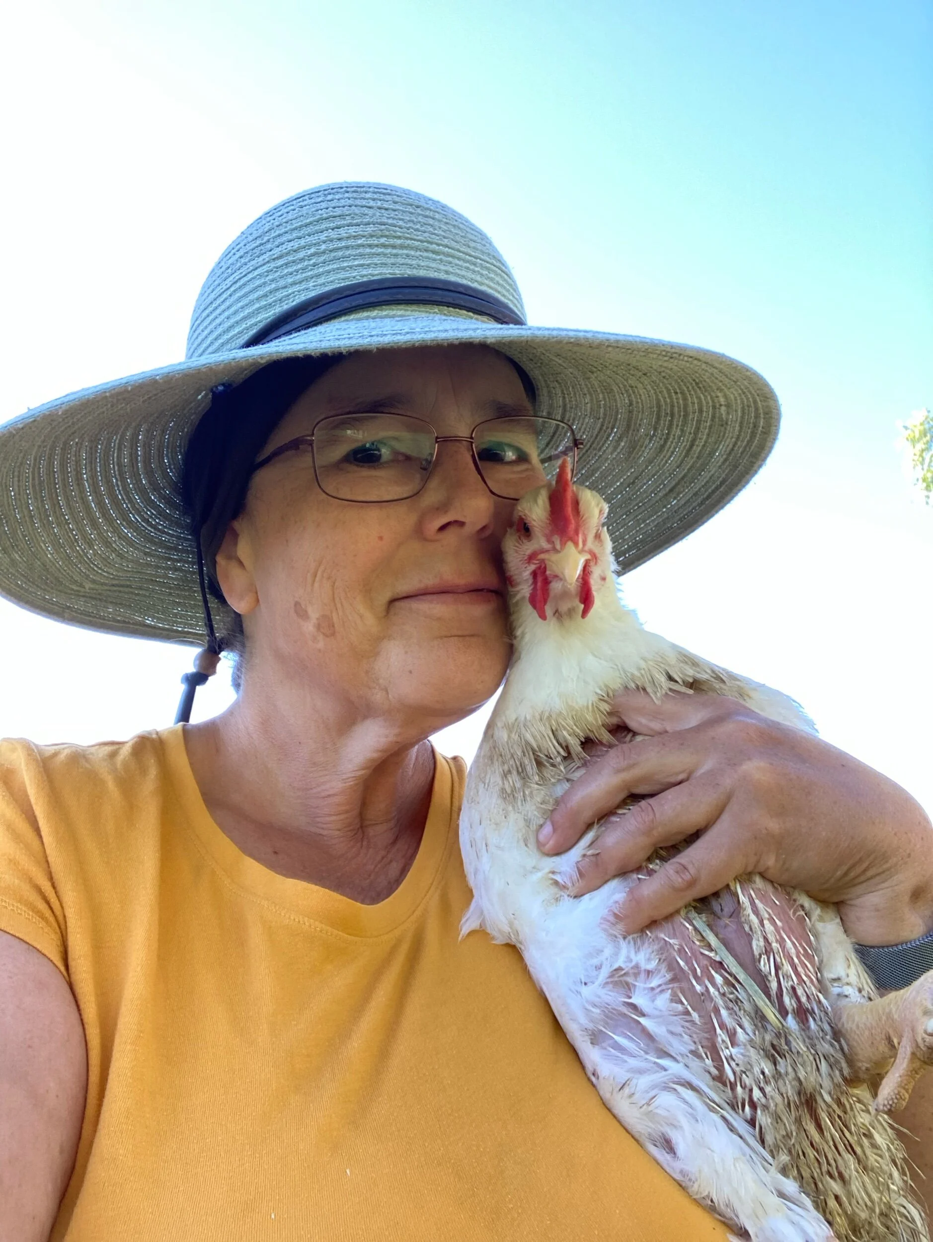 And one last cheek smush at 6 weeks  for this fellow before sending him to freezer camp. Broilers typically are harvested between 6-8 weeks of age. Normal chickens take 14-16 weeks.