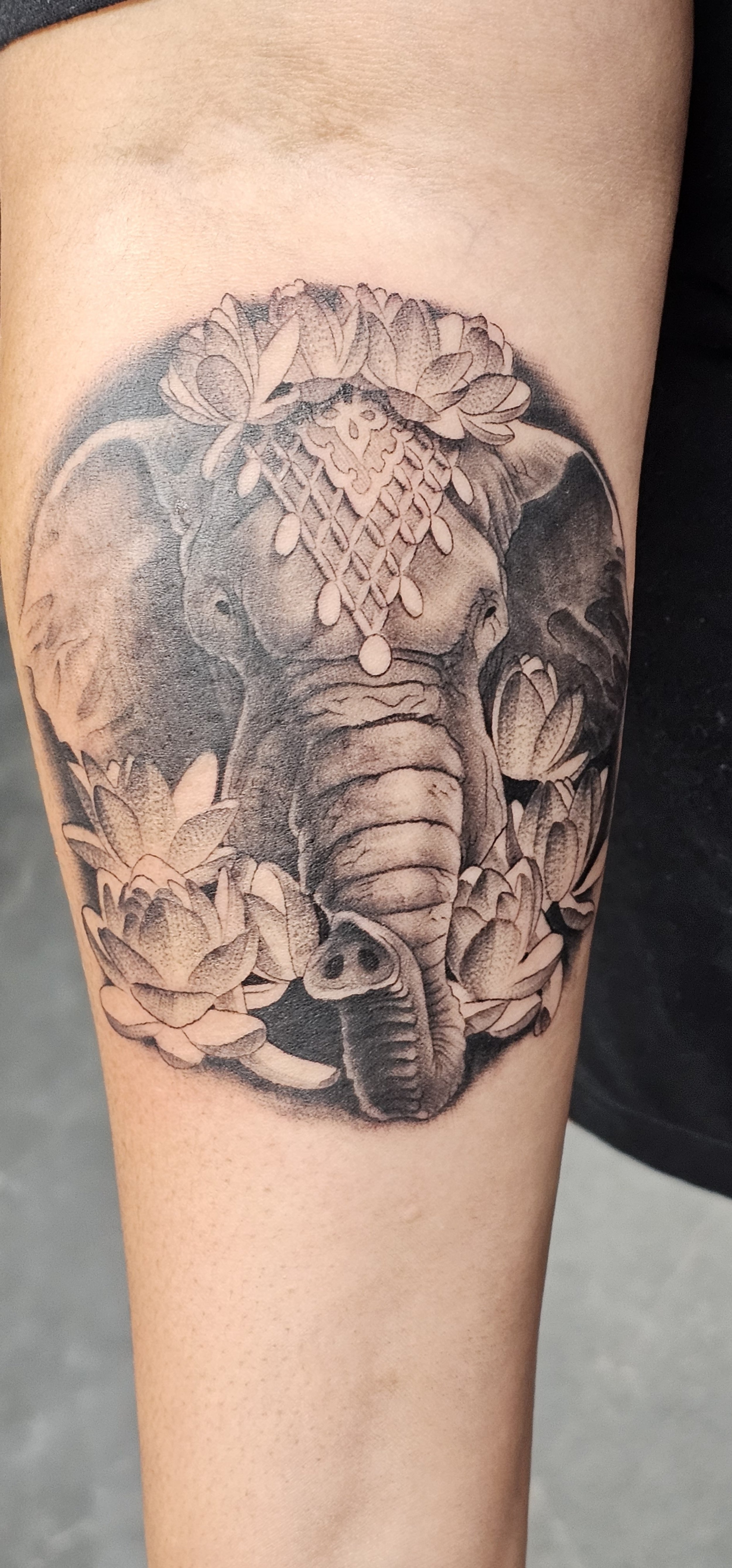 Elephant Head Tattoo