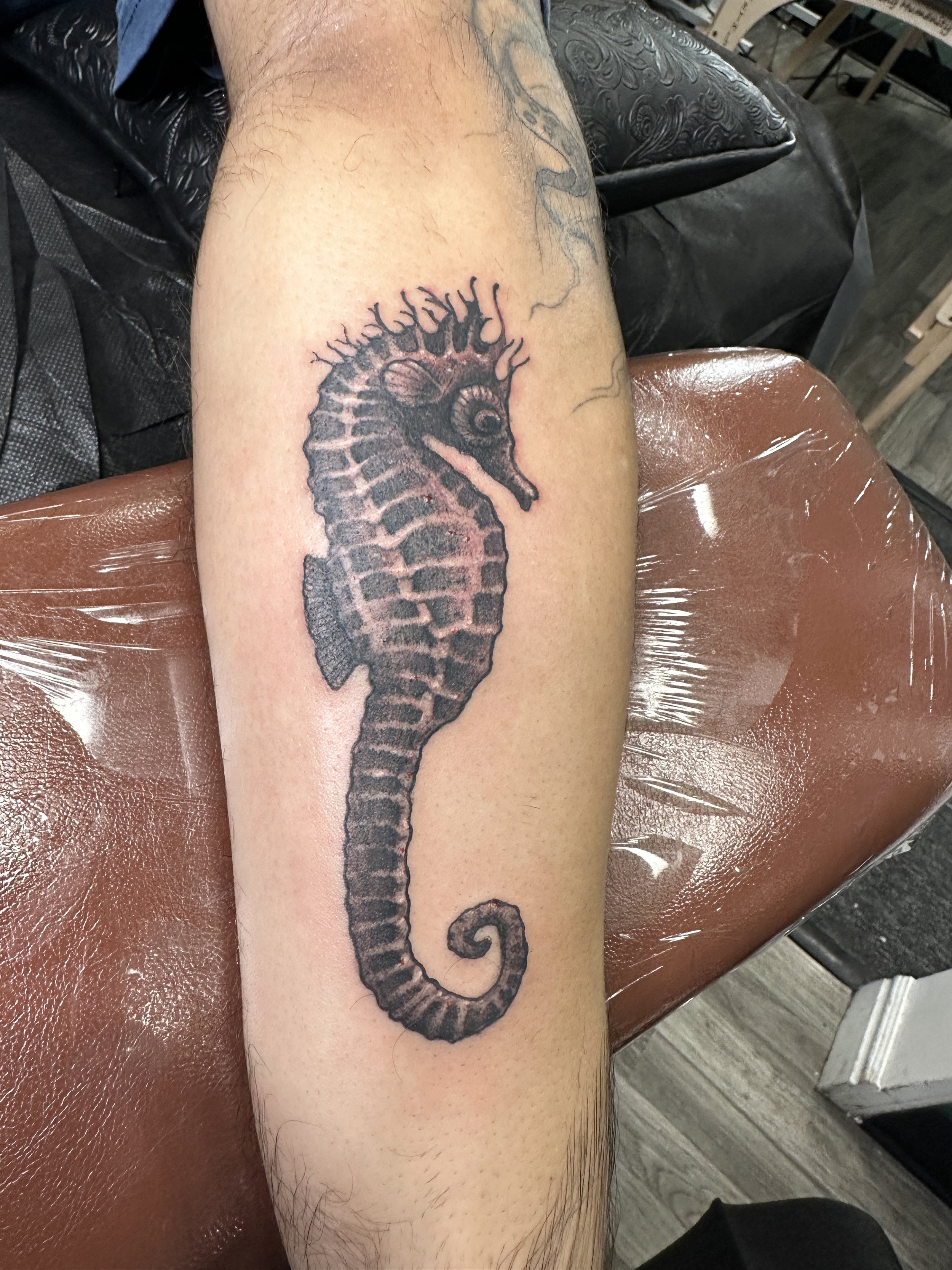 Sea Horse Tattoo