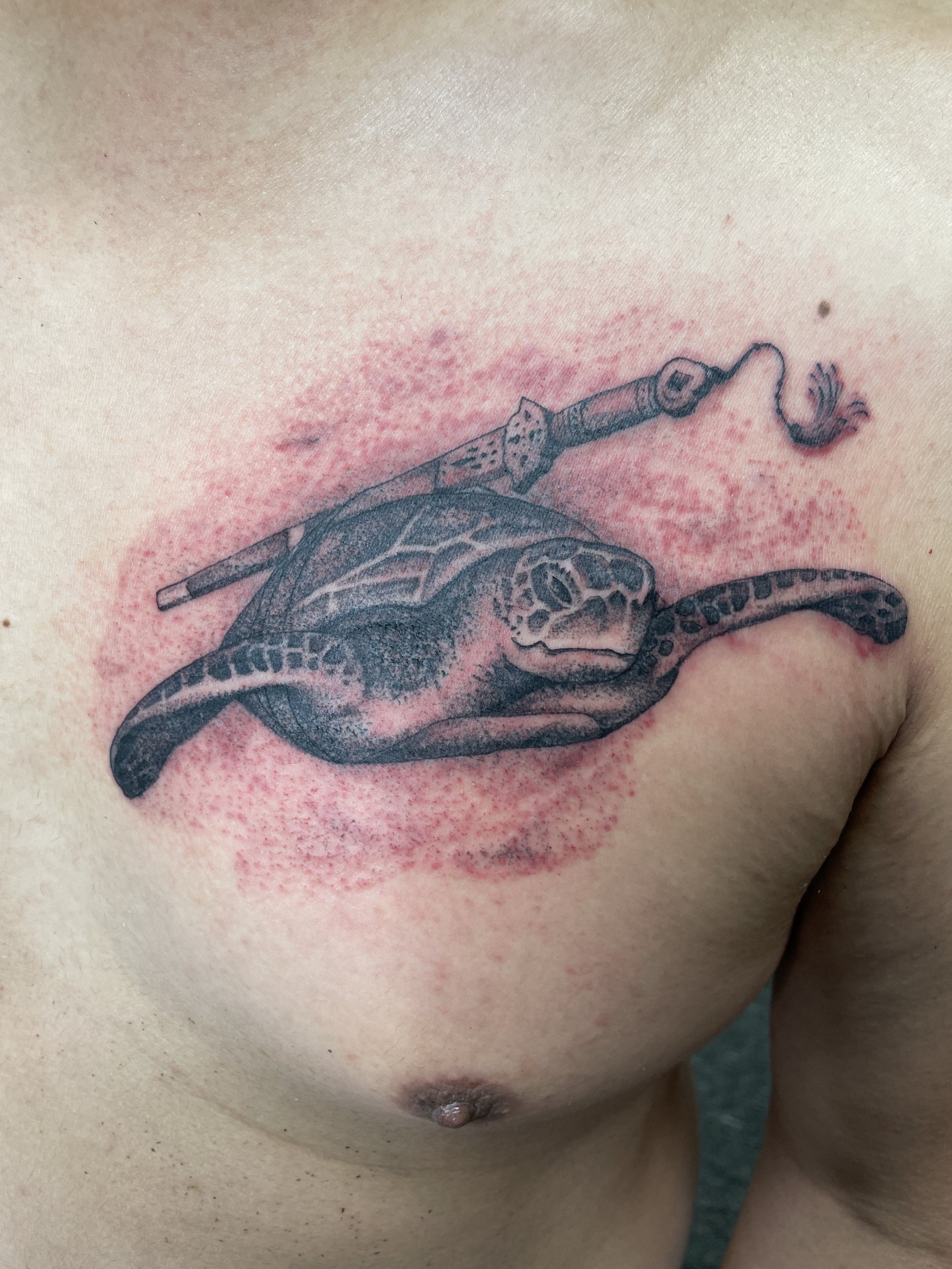 Dotwork Sea Turtle Tattoo