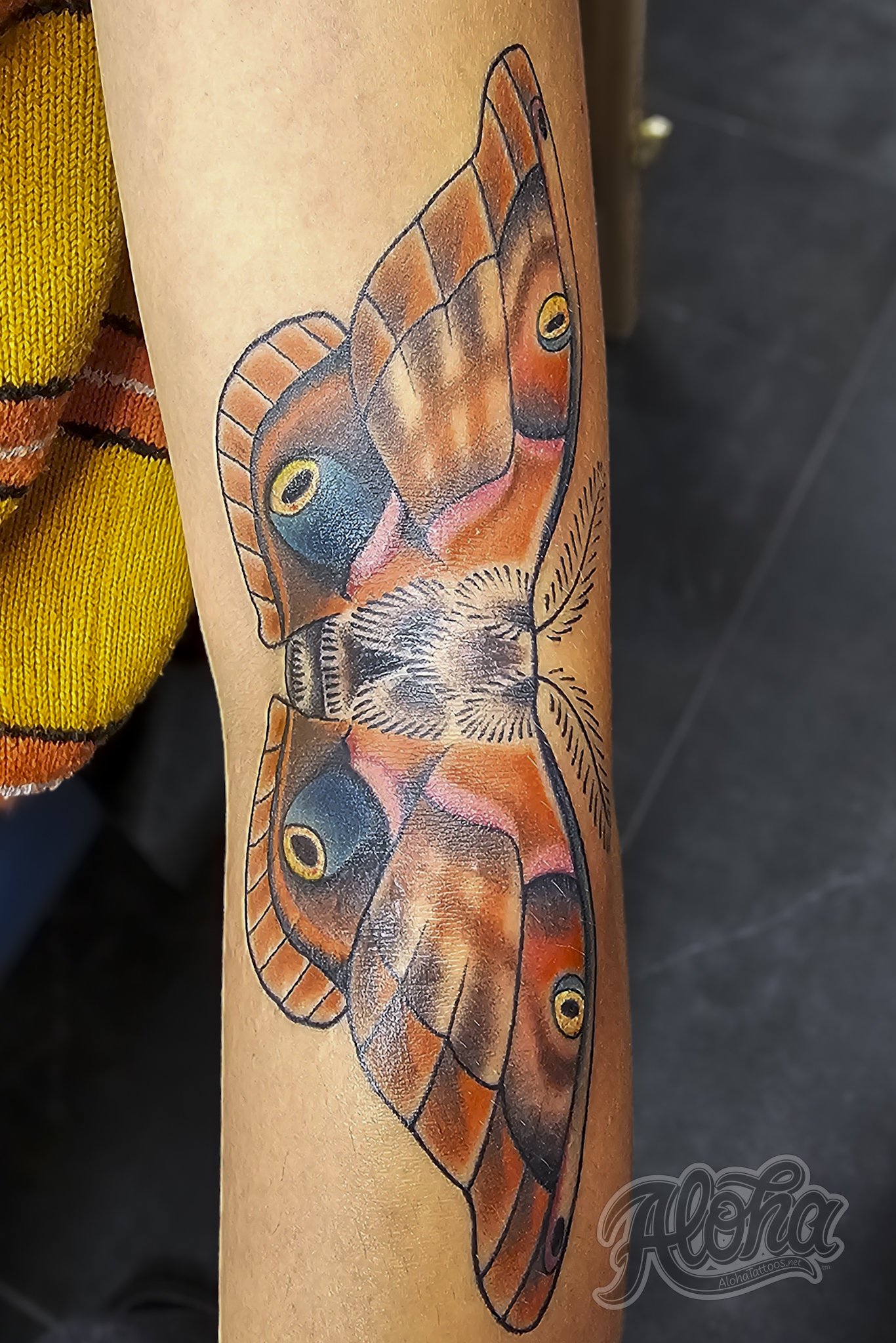 Full Color Moth tattoo