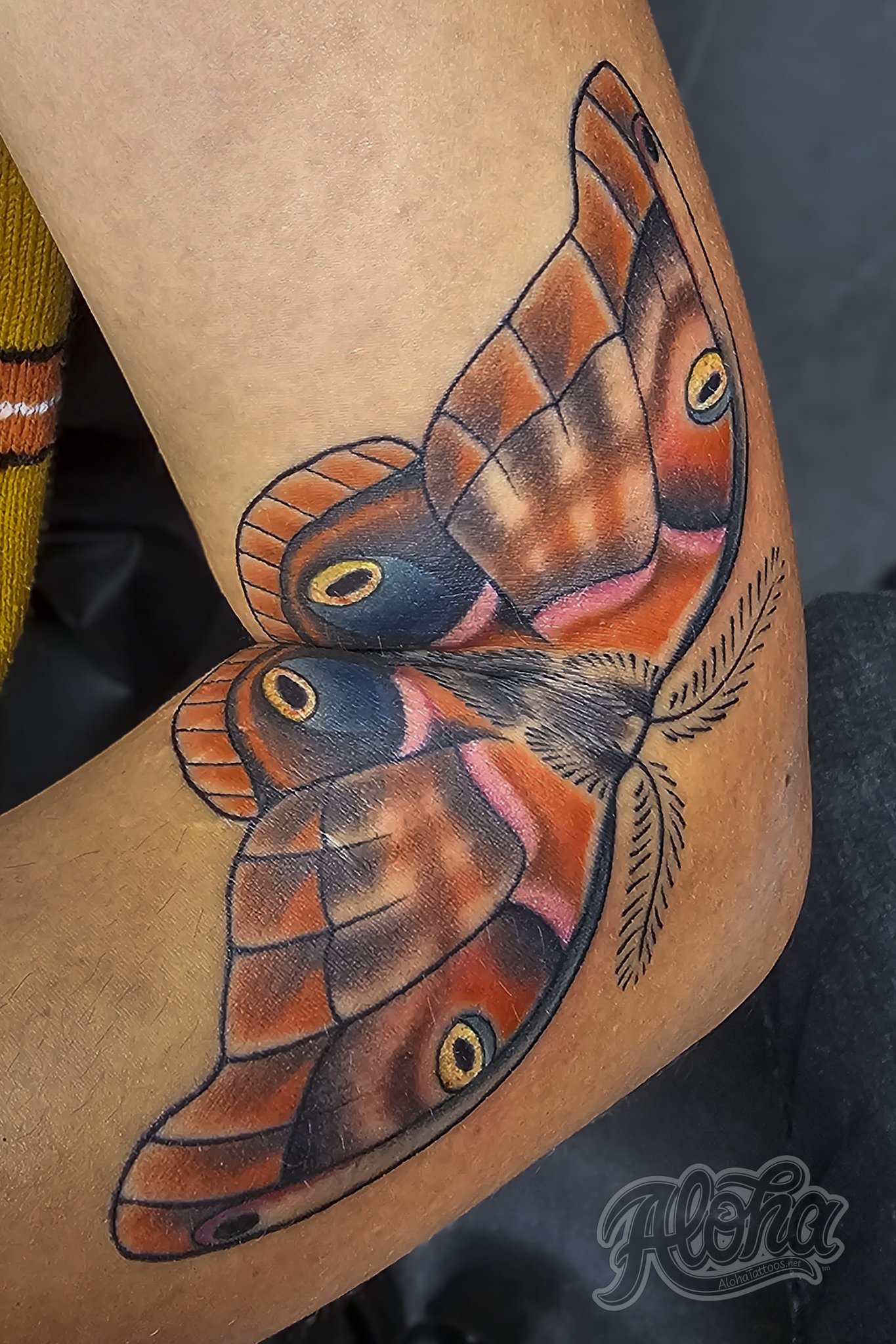 Full Color moth bent elbow tattoo