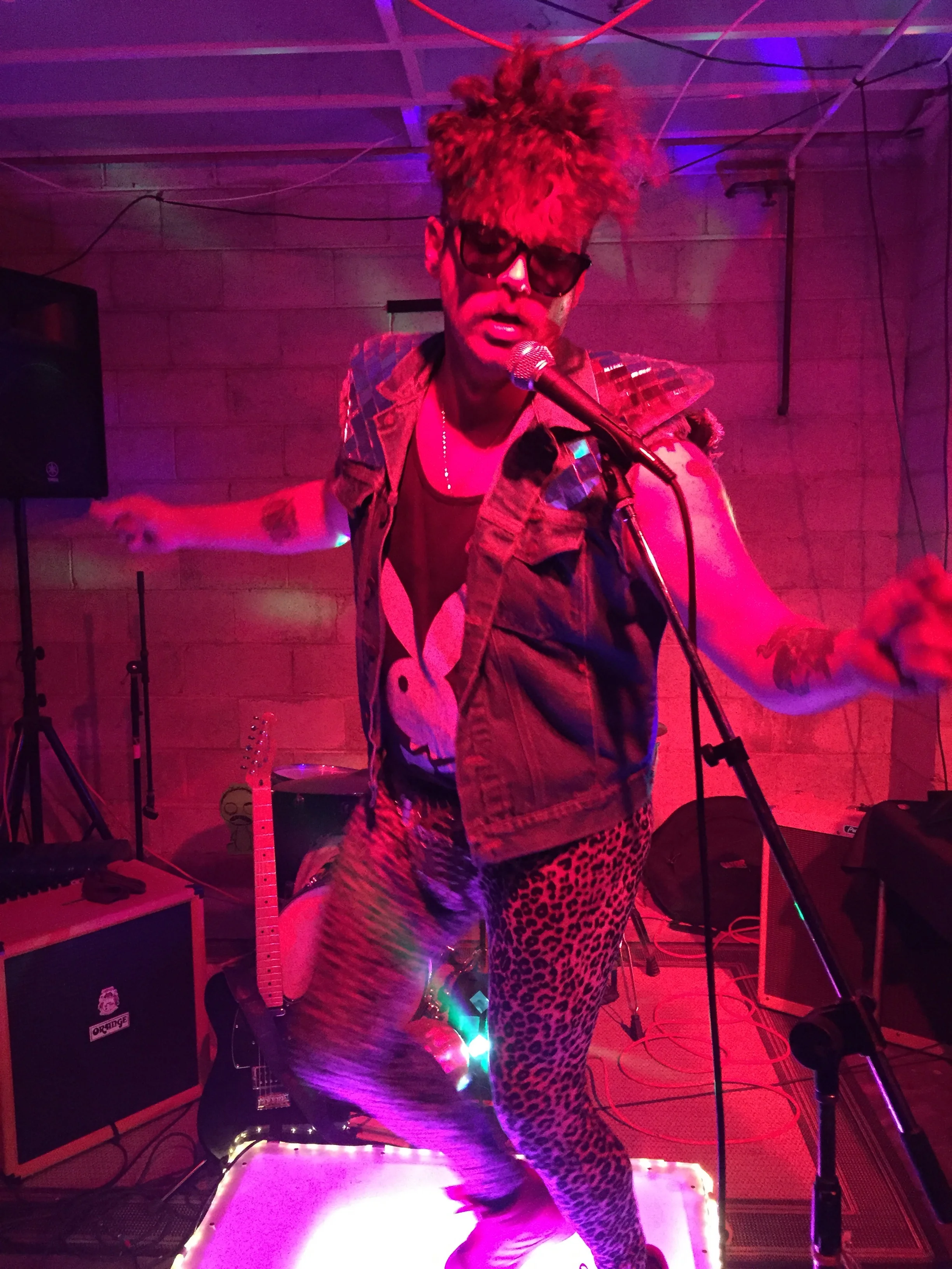 Live at The Casa Nova. Photo credit: Stephen Wilkins