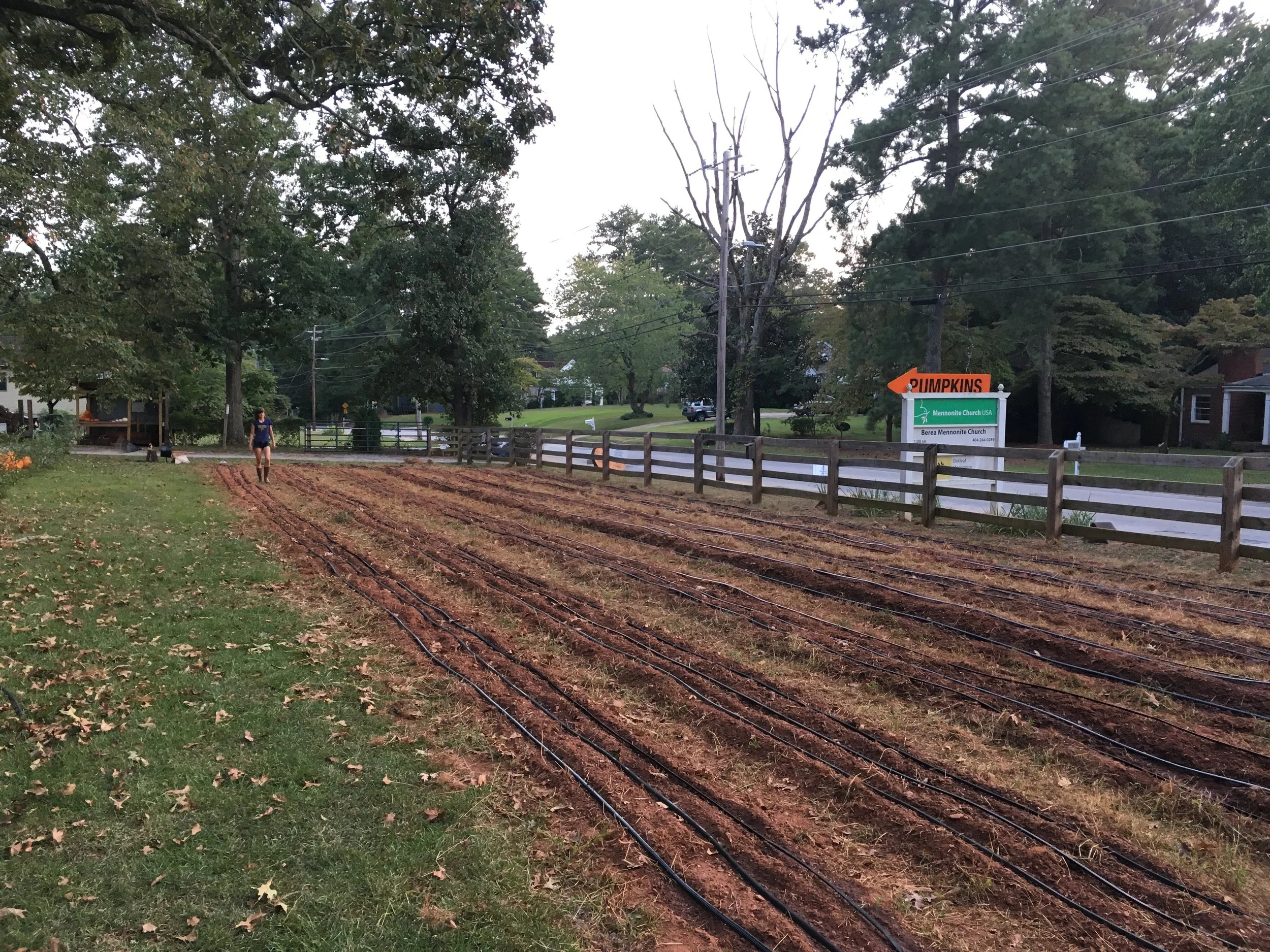 The future community orchard along Bouldercrest Drive. 
