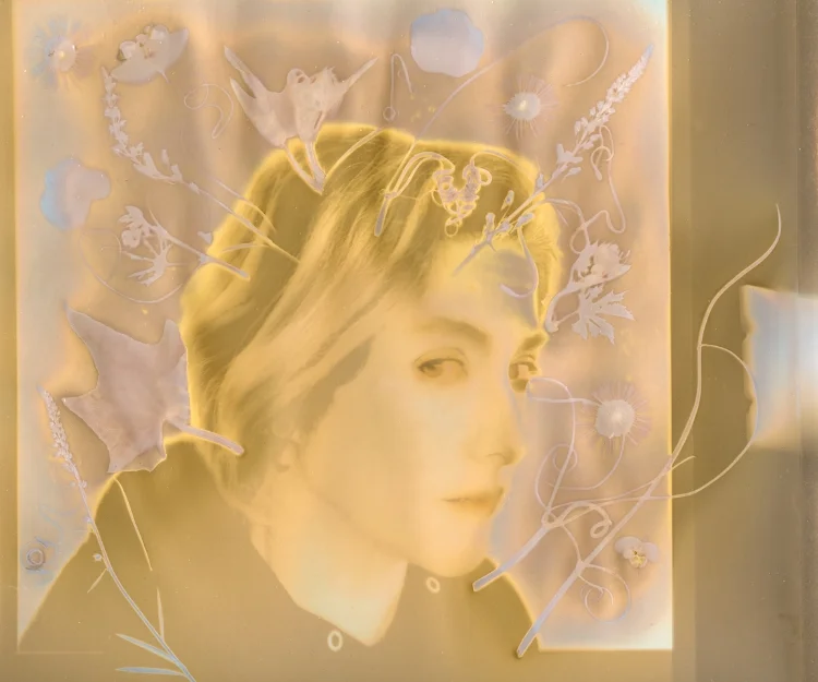 Cassandra Listens , Diane Fenster