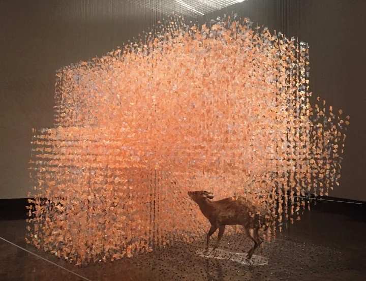 Clarire Morgan "Stop Me Feeling"