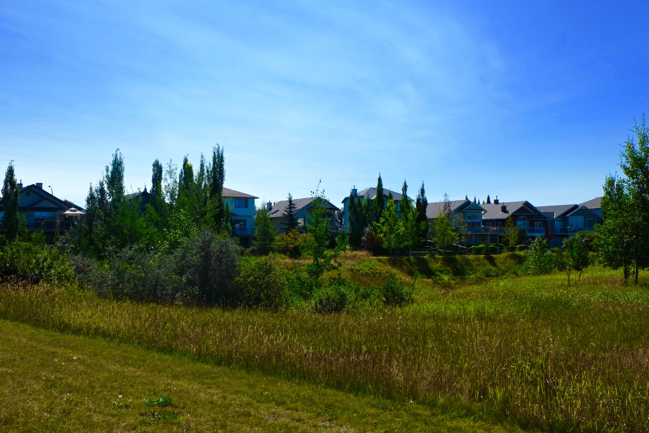DSCF5473.jpg
