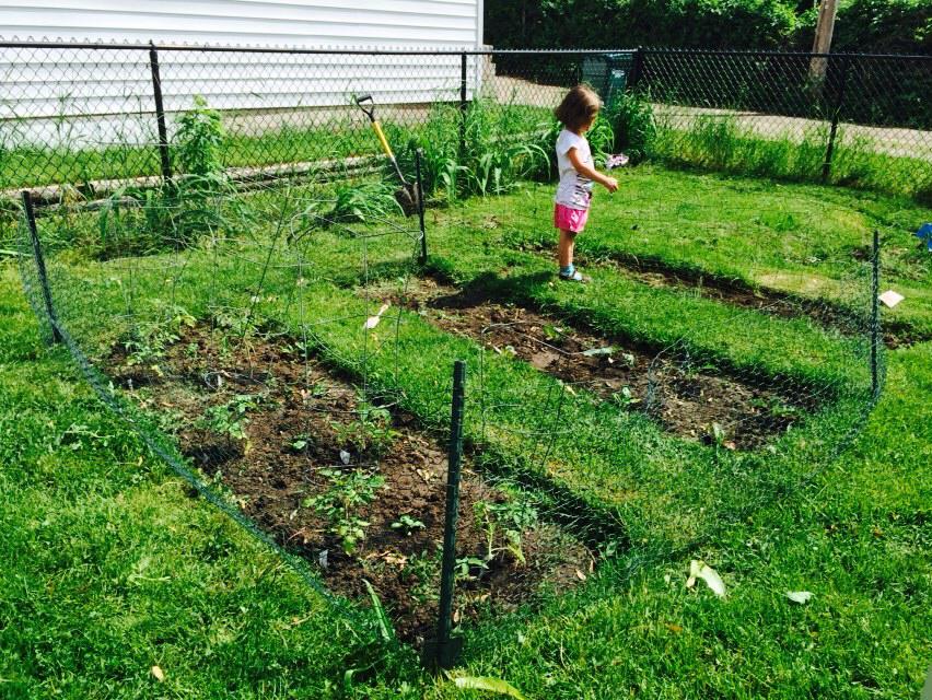 Our tiny backyard garden. The children love to plant and monitor the progress.