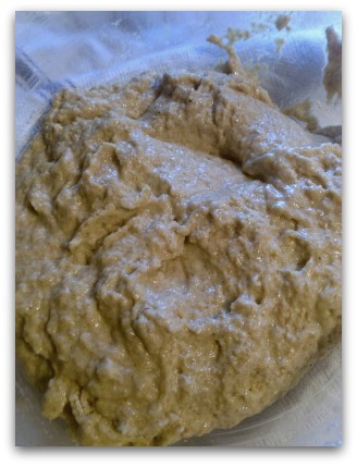 The Sponge. Give it enough time, and it will rise.