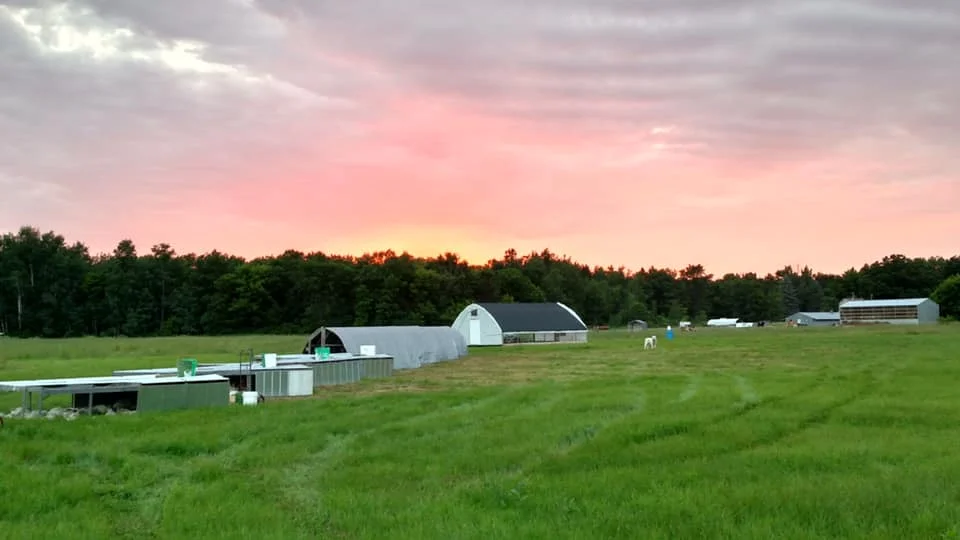 Nelson Grass Farm