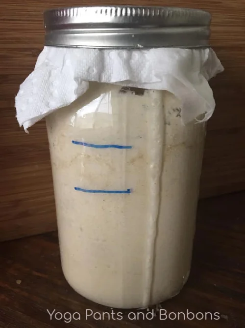 starter-1.jpg