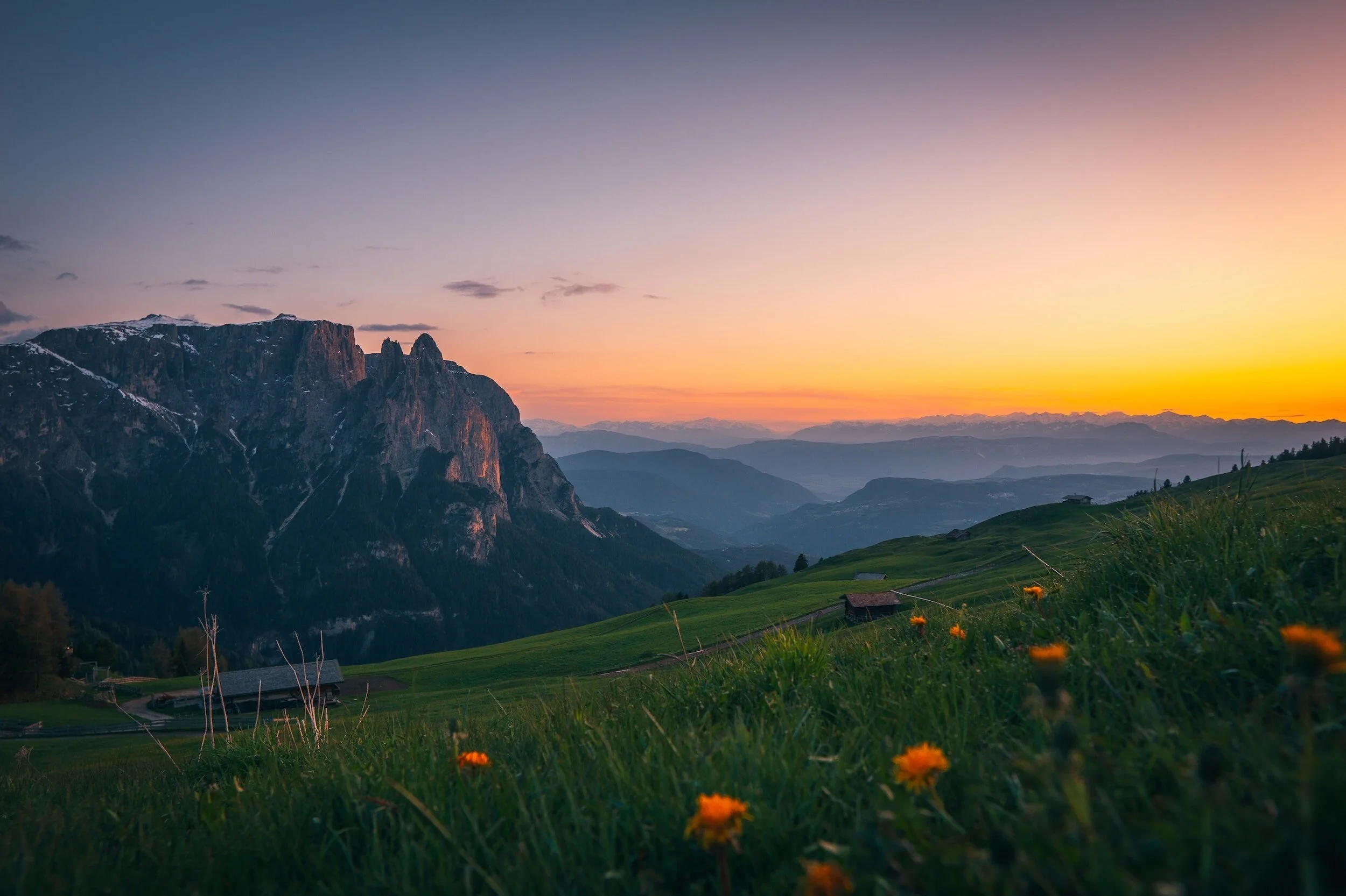 Discover the Natural Power of Acupuncture for Effective Pain Relief