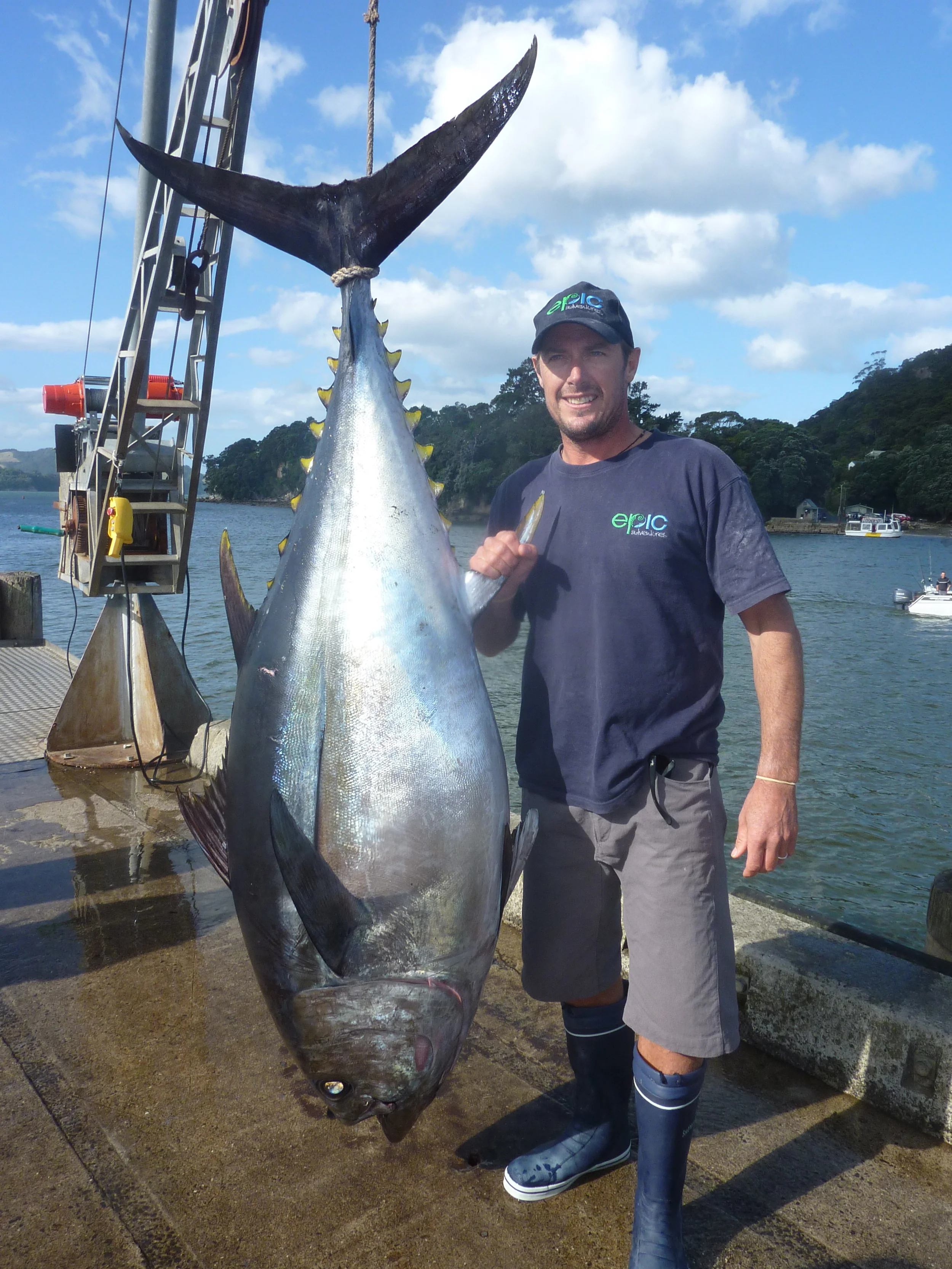 106kg Big Eye Tuna for Ants