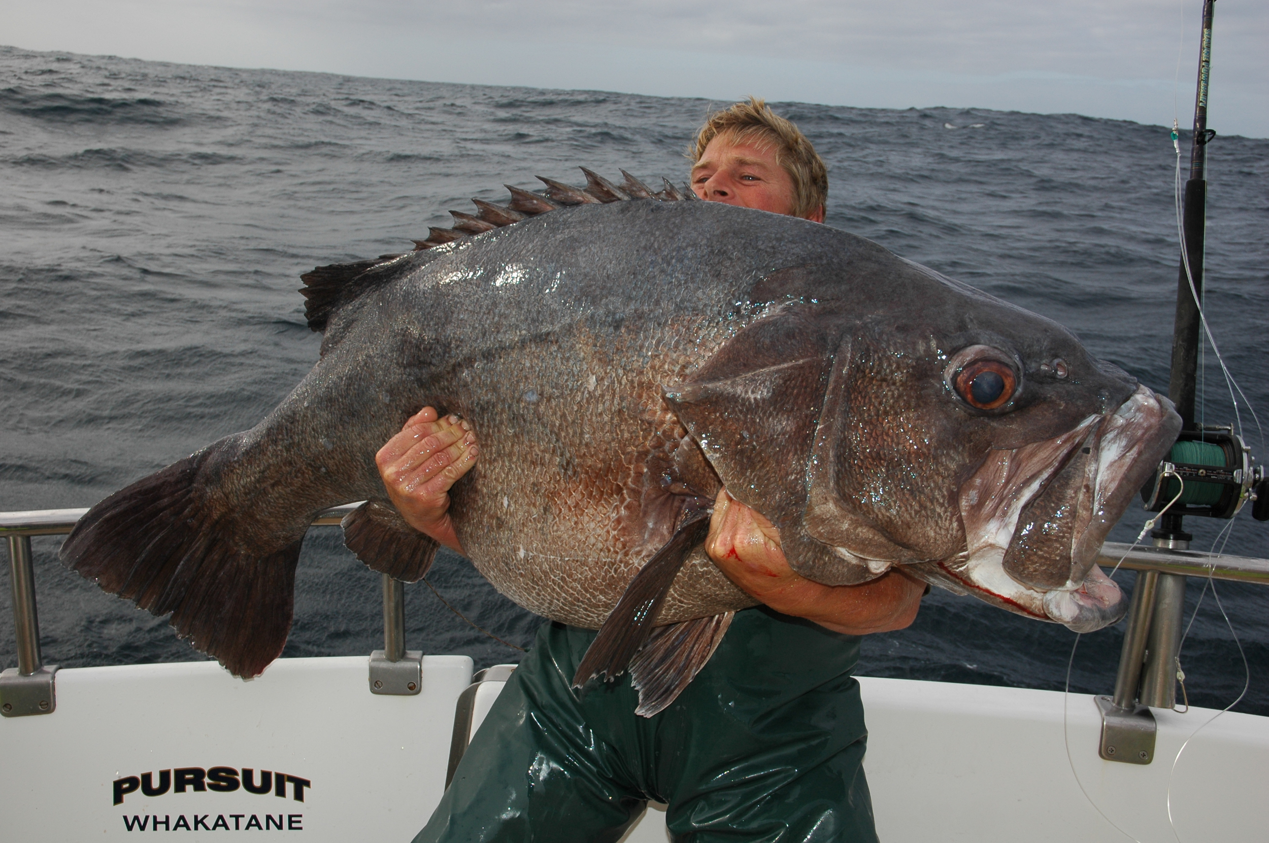 Drew "Bassterd" Edwards with his 67kg bass!! 