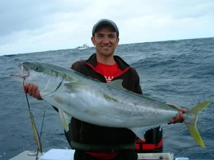 Autumn 2007 Kingfish Jigging Action at the Aldie Pins