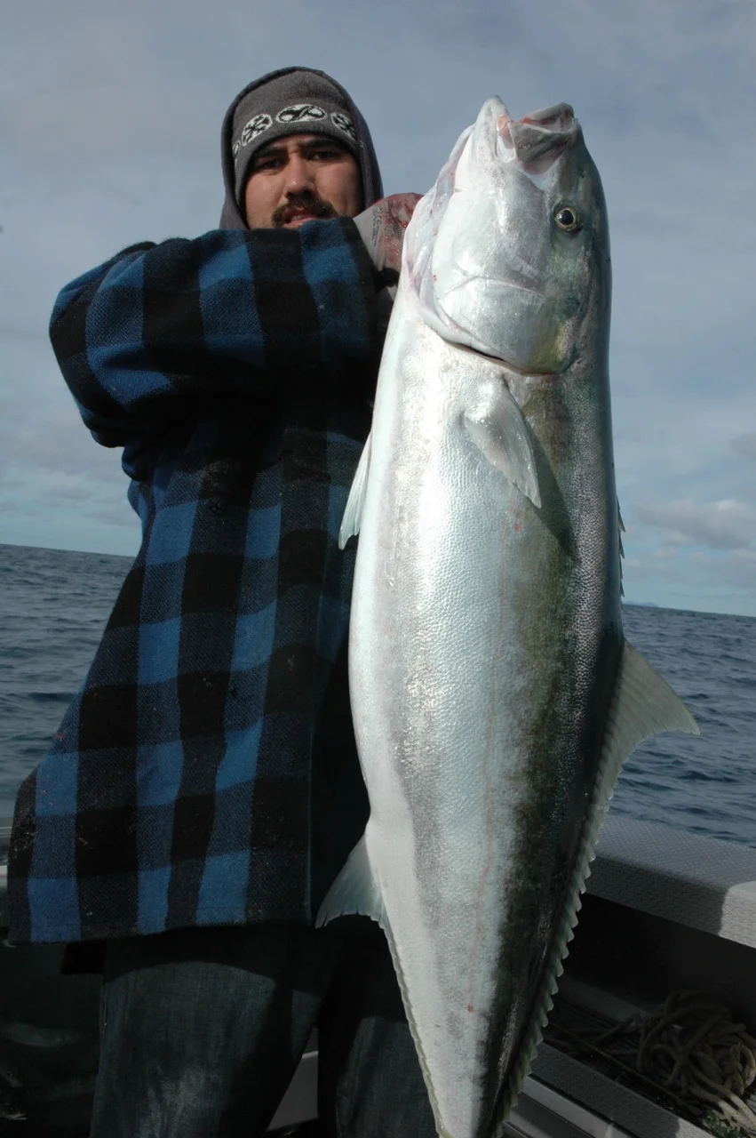 DSC_3547.jpg