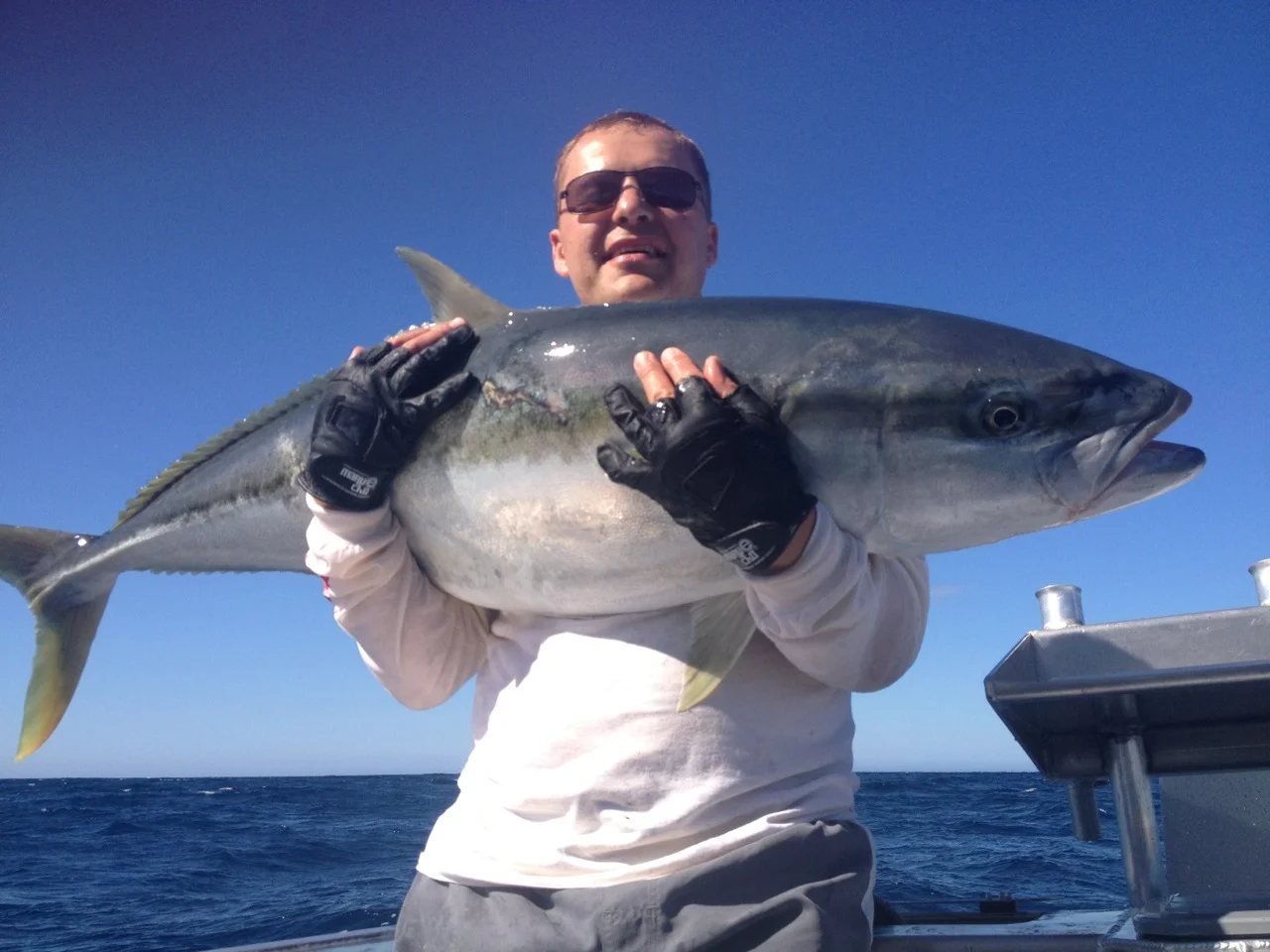 summer_kingfish_andrius.jpg