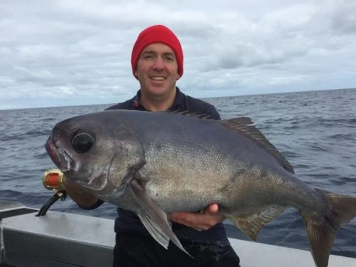 Kingfish Jigging, Bluenose Dropping & some black gold!!