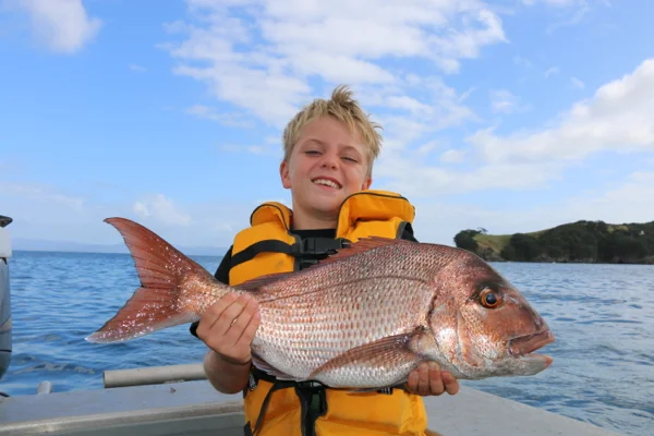 oscarmuir_snapper.jpg