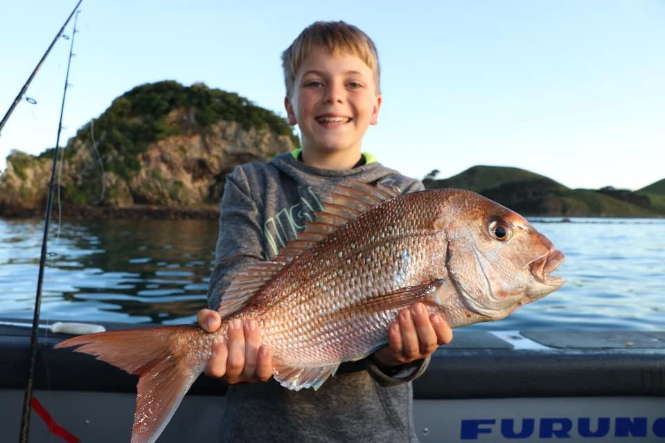snapper_oscar.jpg