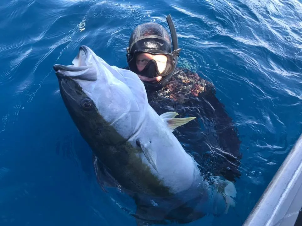 spence_nicekingfishfreediving.jpg