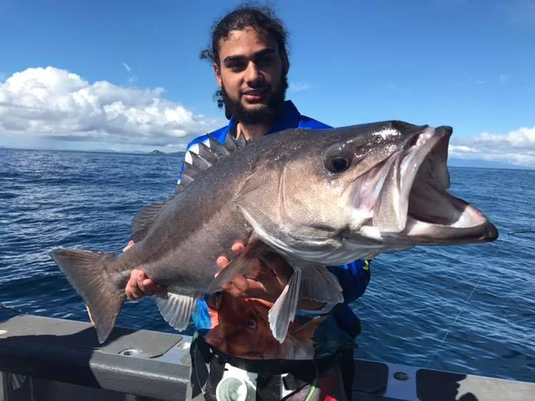 pukawefish.jpg