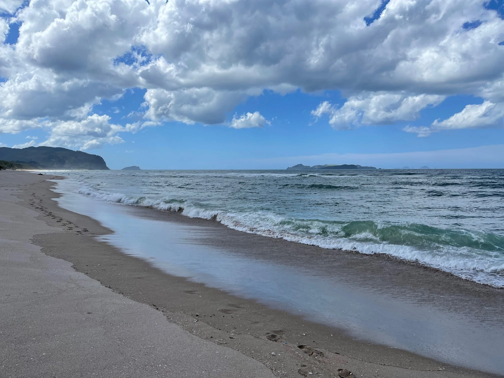 beach.jpeg