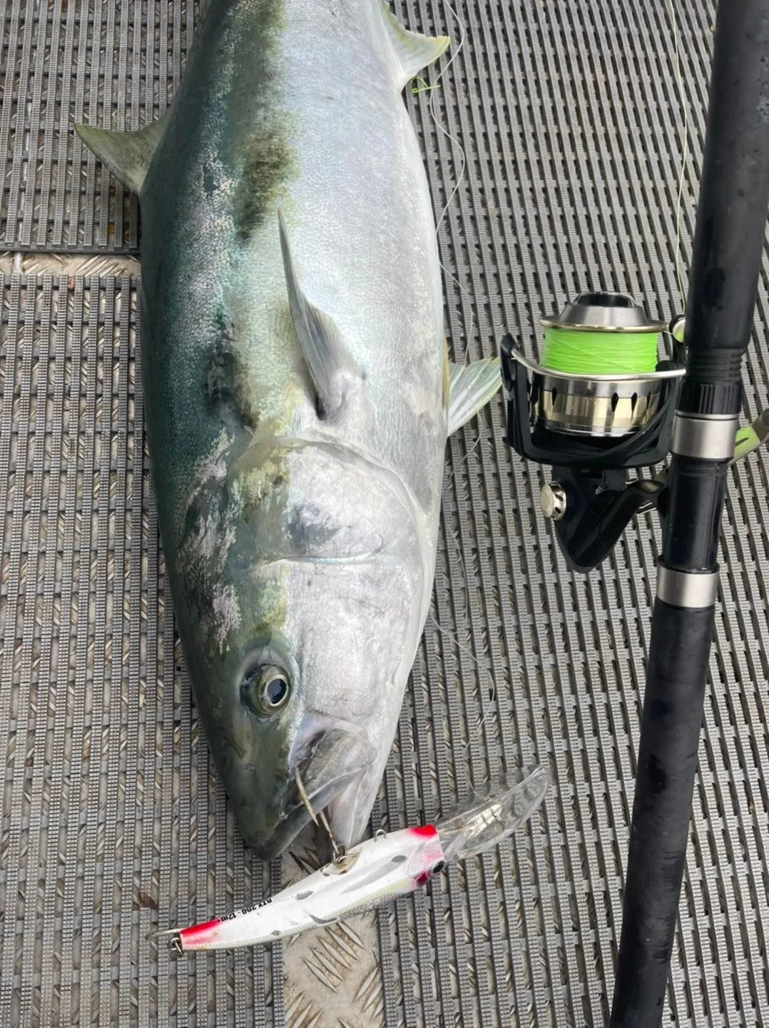 Top Water Kingi! Spring is here