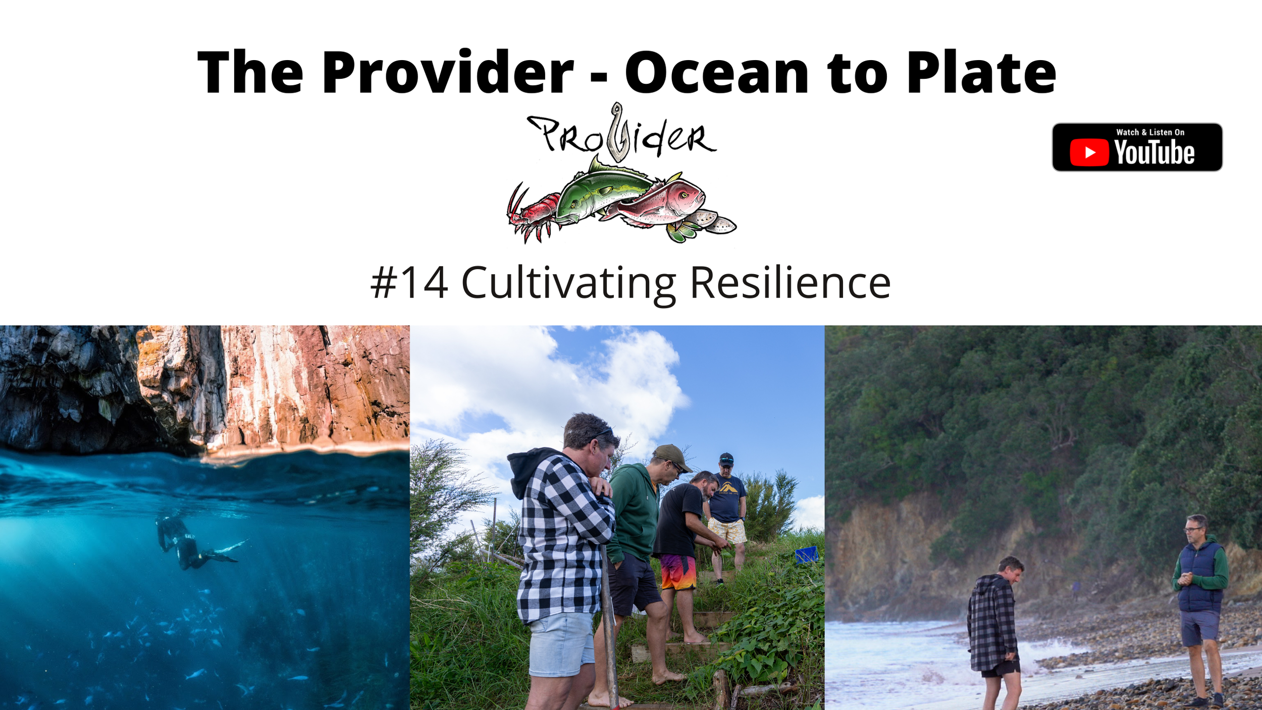 Cultivating Resilience 