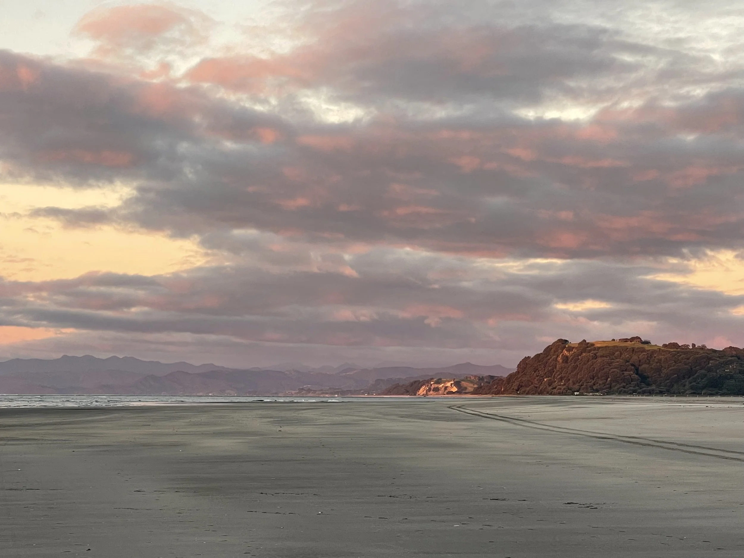 opotiki.jpg