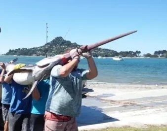 swordlift.webp