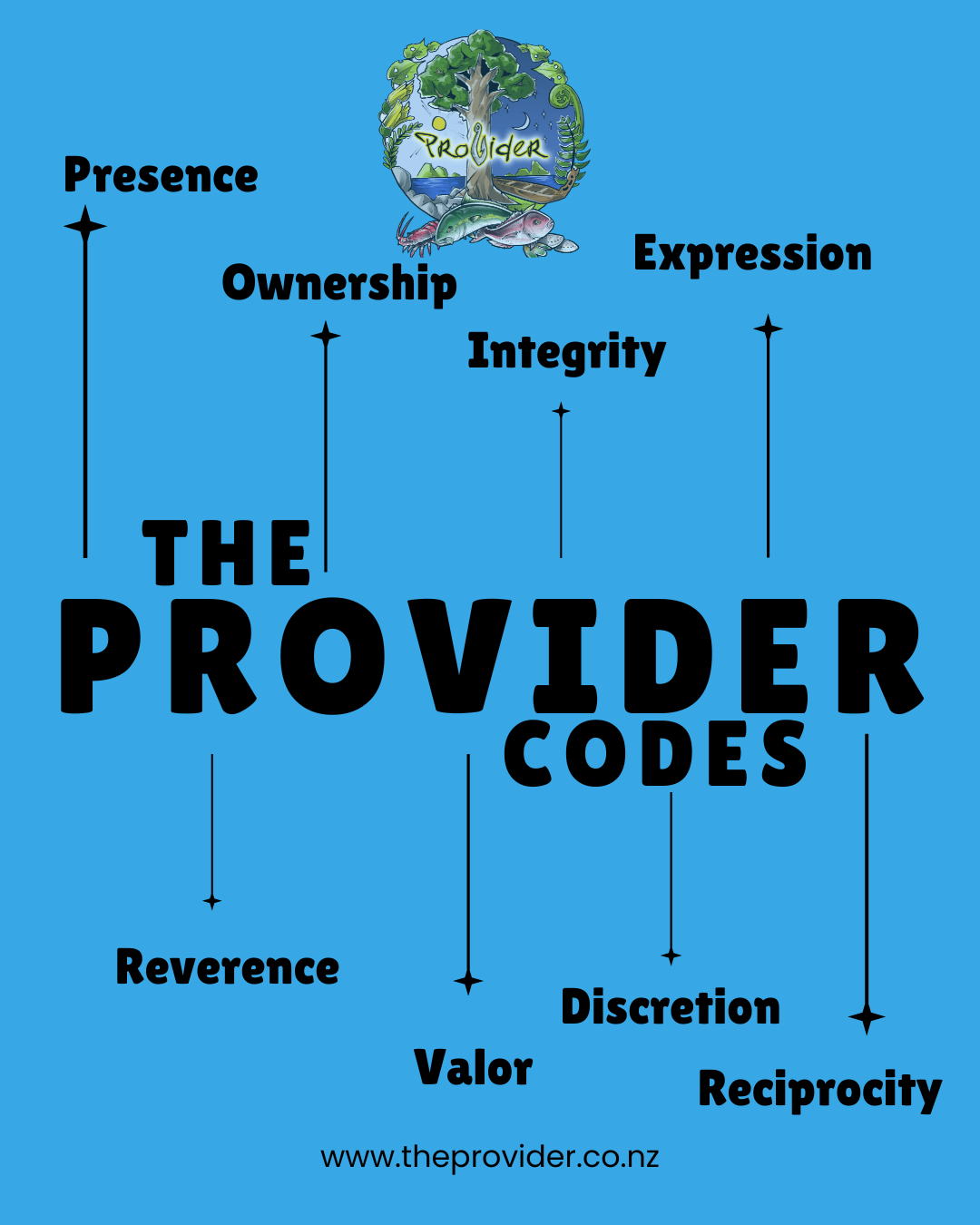 The Provider Codes - A Code for Men To Show Up as a Grounded, Safe, Leader and Brother