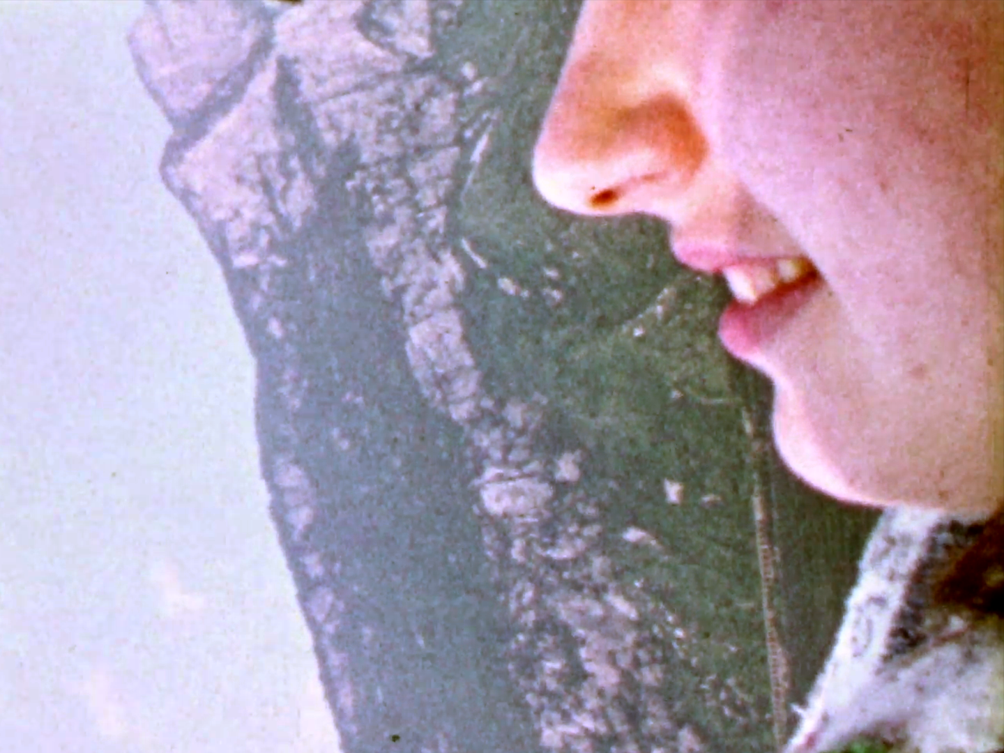 Memoria Data Memoria Data collects the moments of connection from various and distant familial archives. These images remind us of why we keep records, who we set our sights upon, and exactly how we felt when our camera was running. Lori Felker, sound by Patrizia Oliva Commissioned by the Chicago Film Archives and Lab 80 Film - Cinescatti Archive. United States, Italy, 2018, 12:00 mins Visit the artist’s website here .
