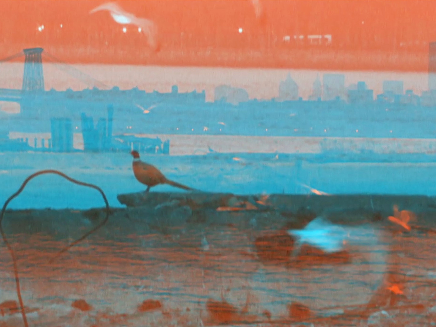 Eastern District Terminal Eastern District Terminal documents a particular lost time and place: the Brooklyn waterfront after the end of its use as an industrial and shipping site, but before it became the front lawn for the shiny apartment towers to come. In that in-between moment, the space functioned as a “temporary autonomous zone.” Shot using a homemade 3D rig, the film wanders and turns through the zone and, along the way, encounters three of its denizens. Michael Gitlin USA, 2018, 10:30 mins Visit the artist’s website here .