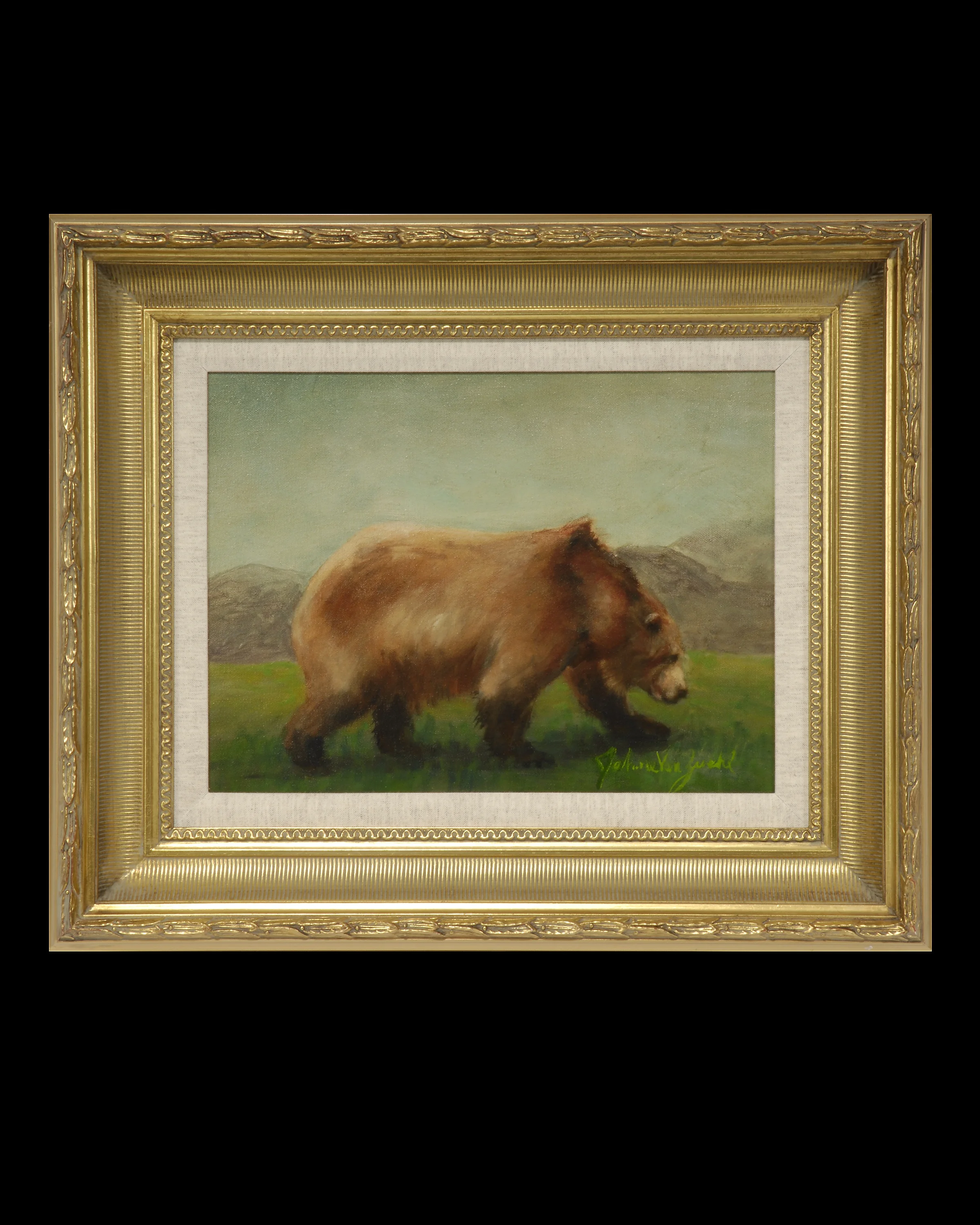 bear.jpg
