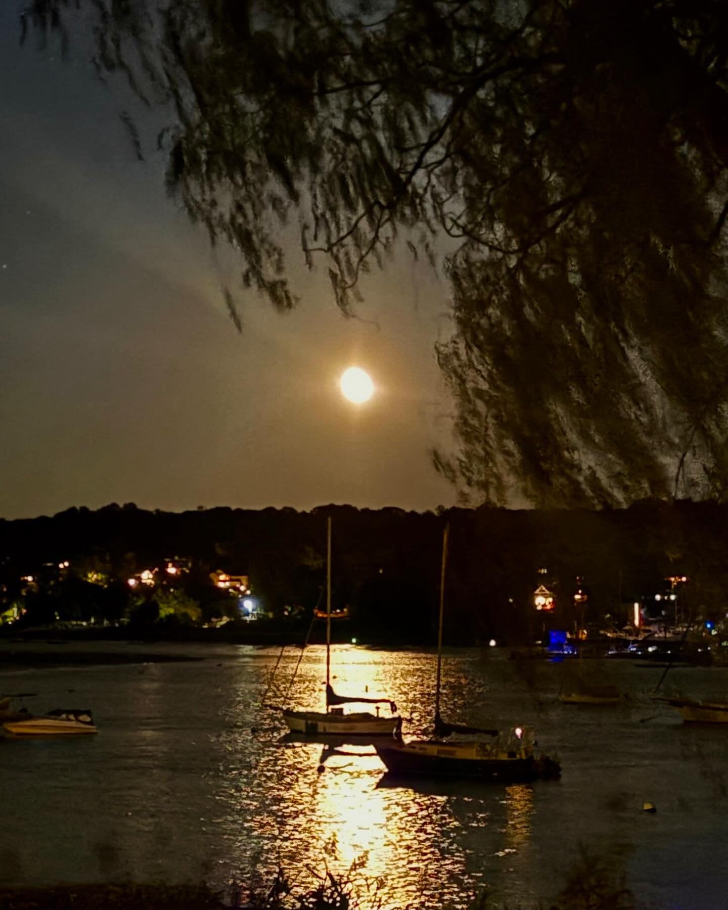 The harvest moon in the harbor tonight 💕