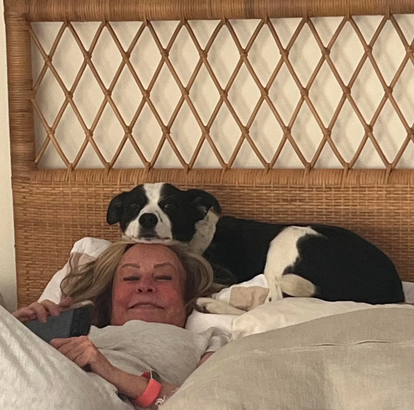 Finally got the dog to join me for morning prayers🤣