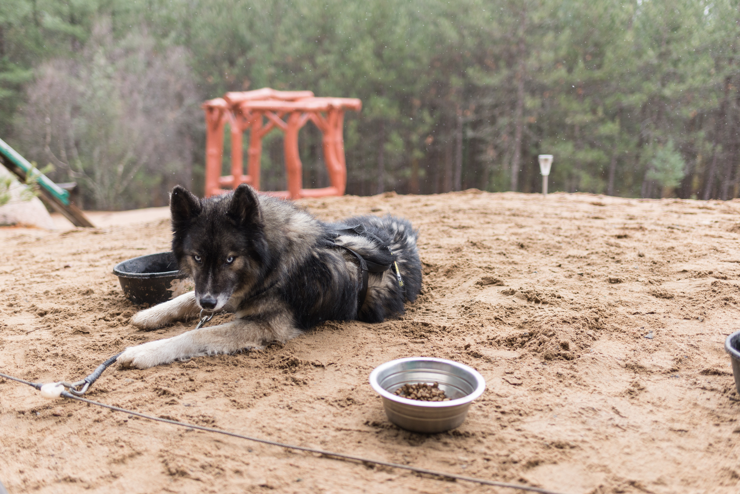 mushing-trip-dslr-4188.jpg