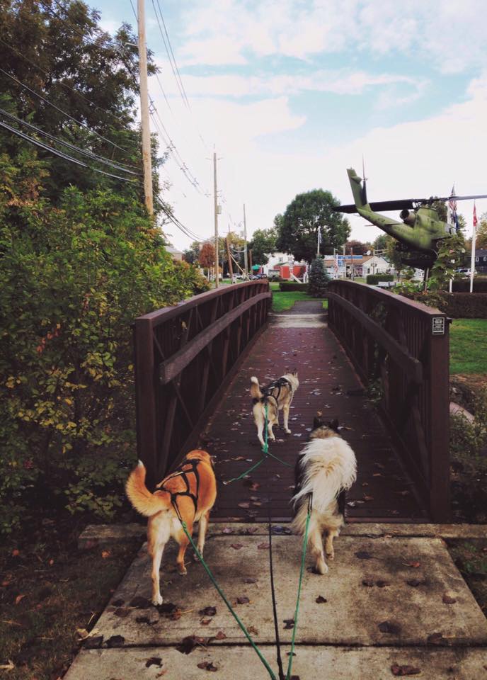 Crossing a bridge in the memorial park on our local trail.