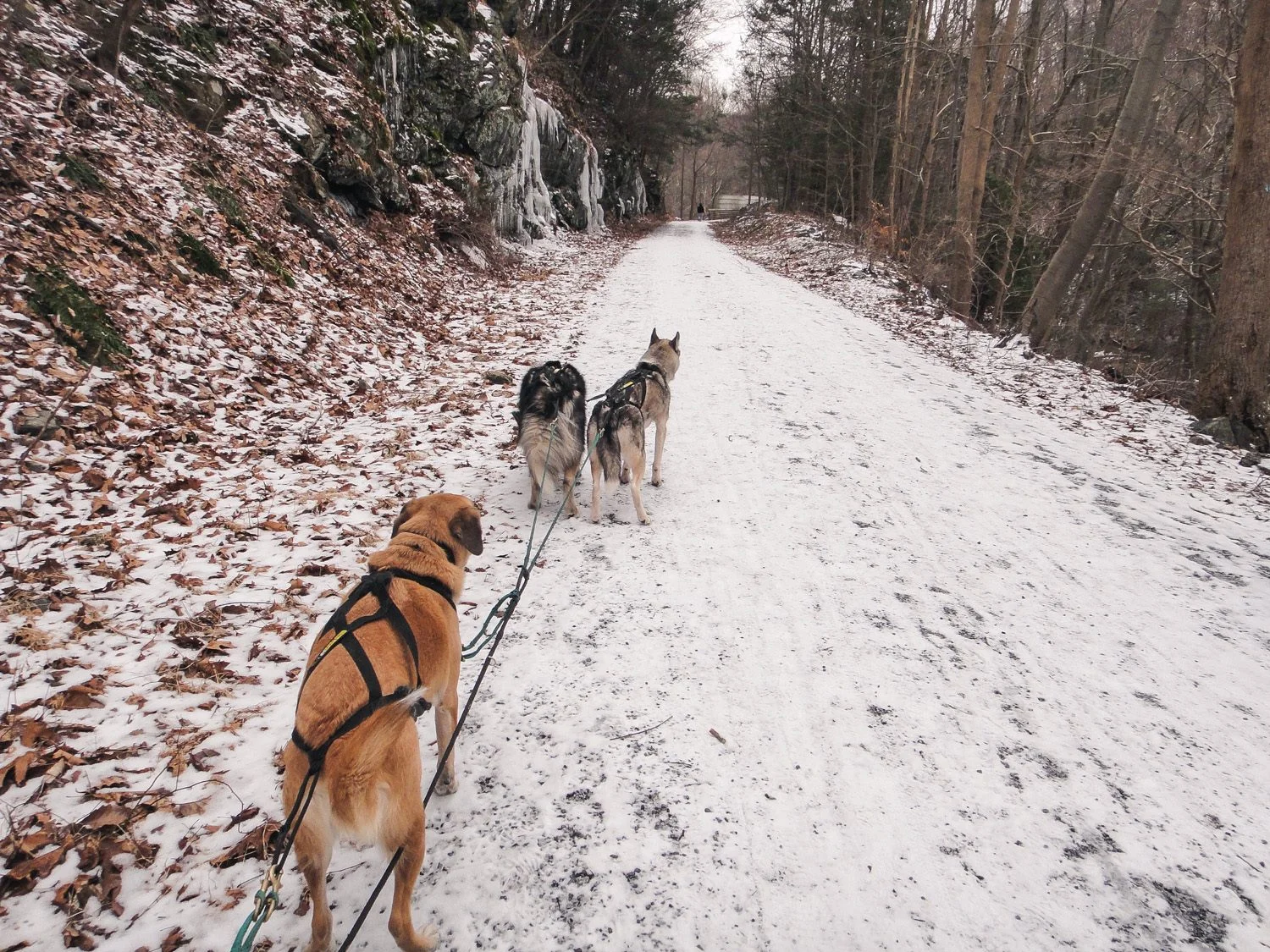 Sections of the Columbia trail have icy rocks on one side, a steep drop on the other.