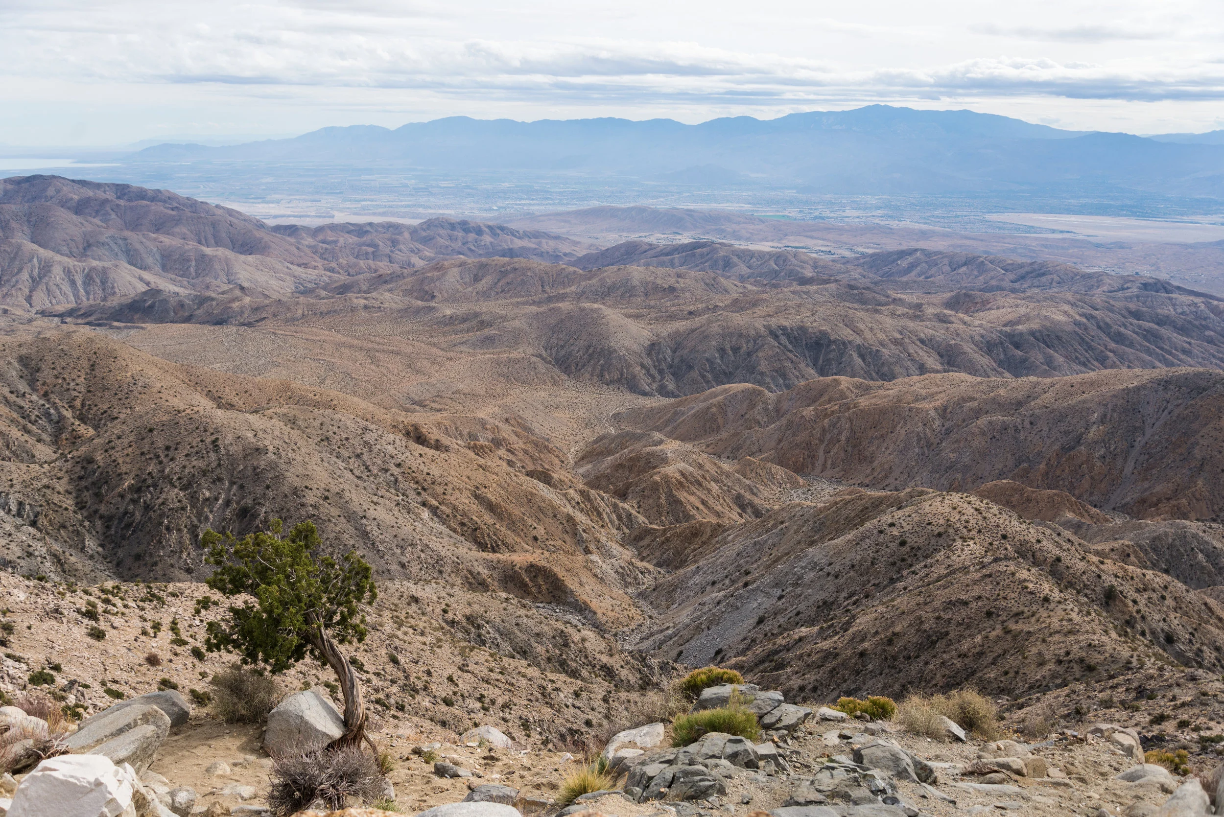 socal (2 of 9).jpg