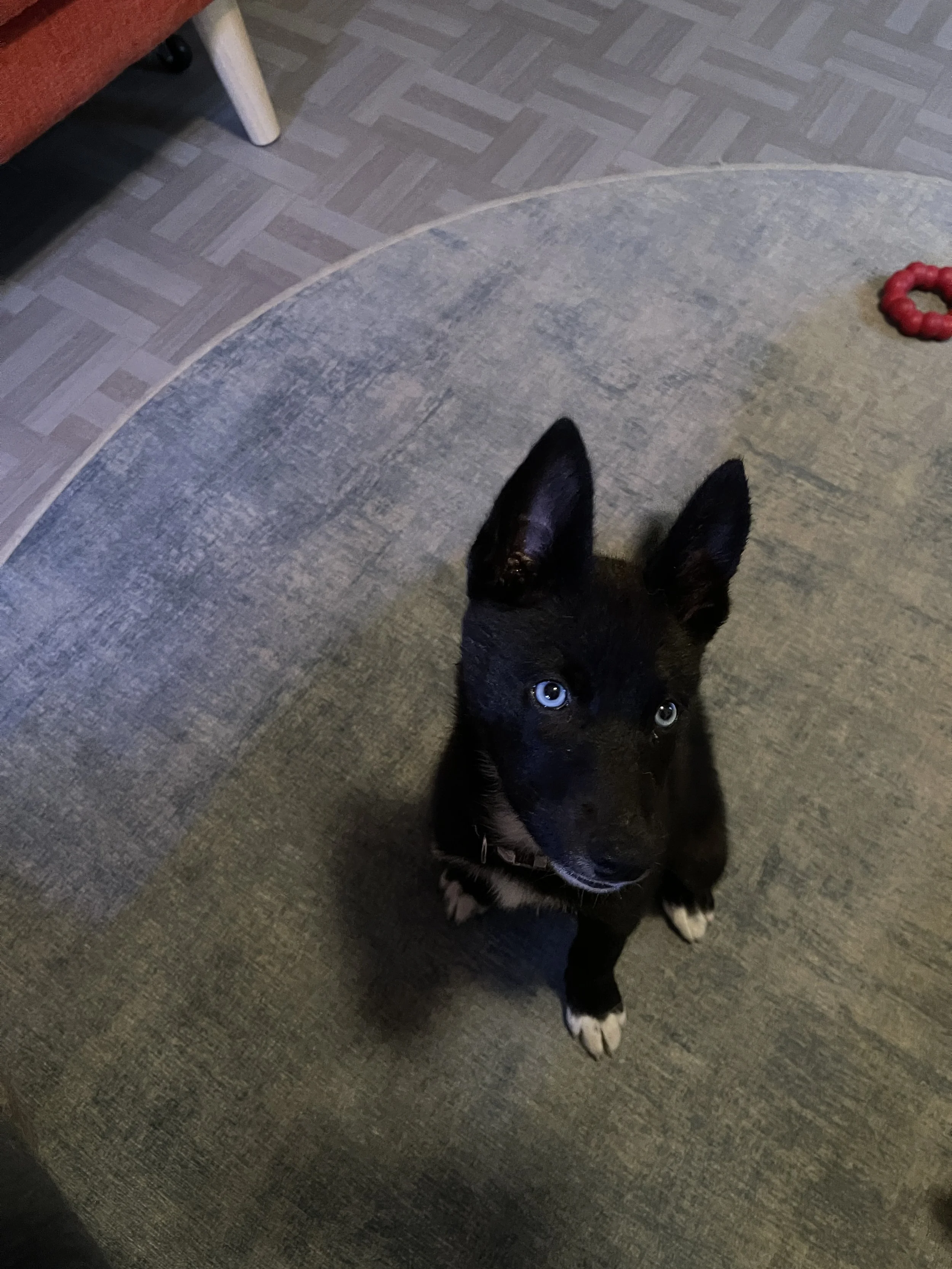 And Then There Were Ten (Again)