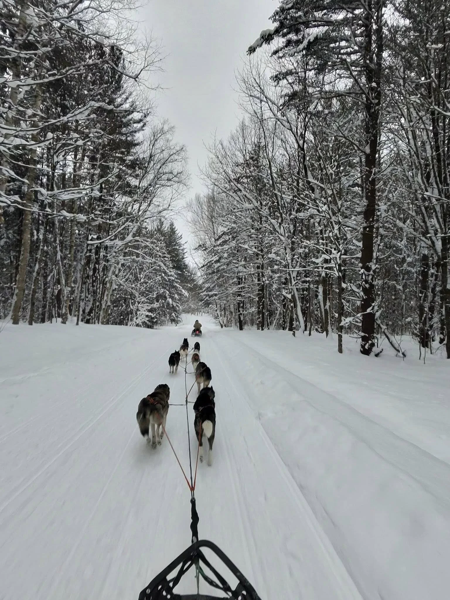 Sand, Snow, and Thaw