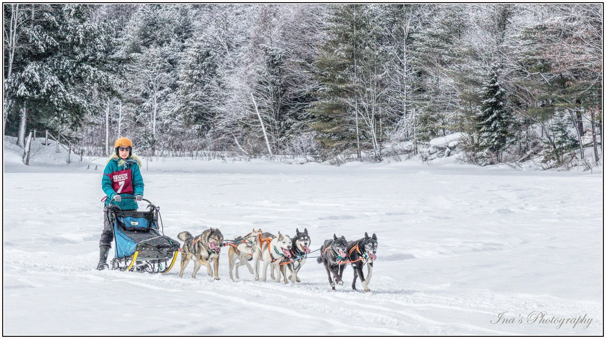 Season Retrospective