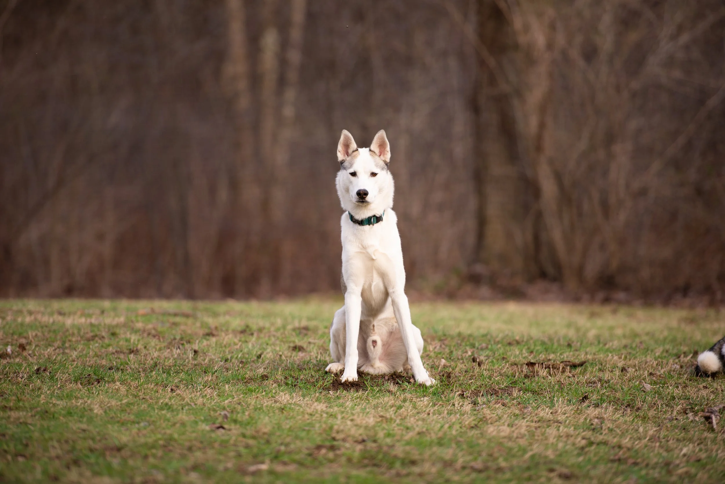 DSC_8262.jpg