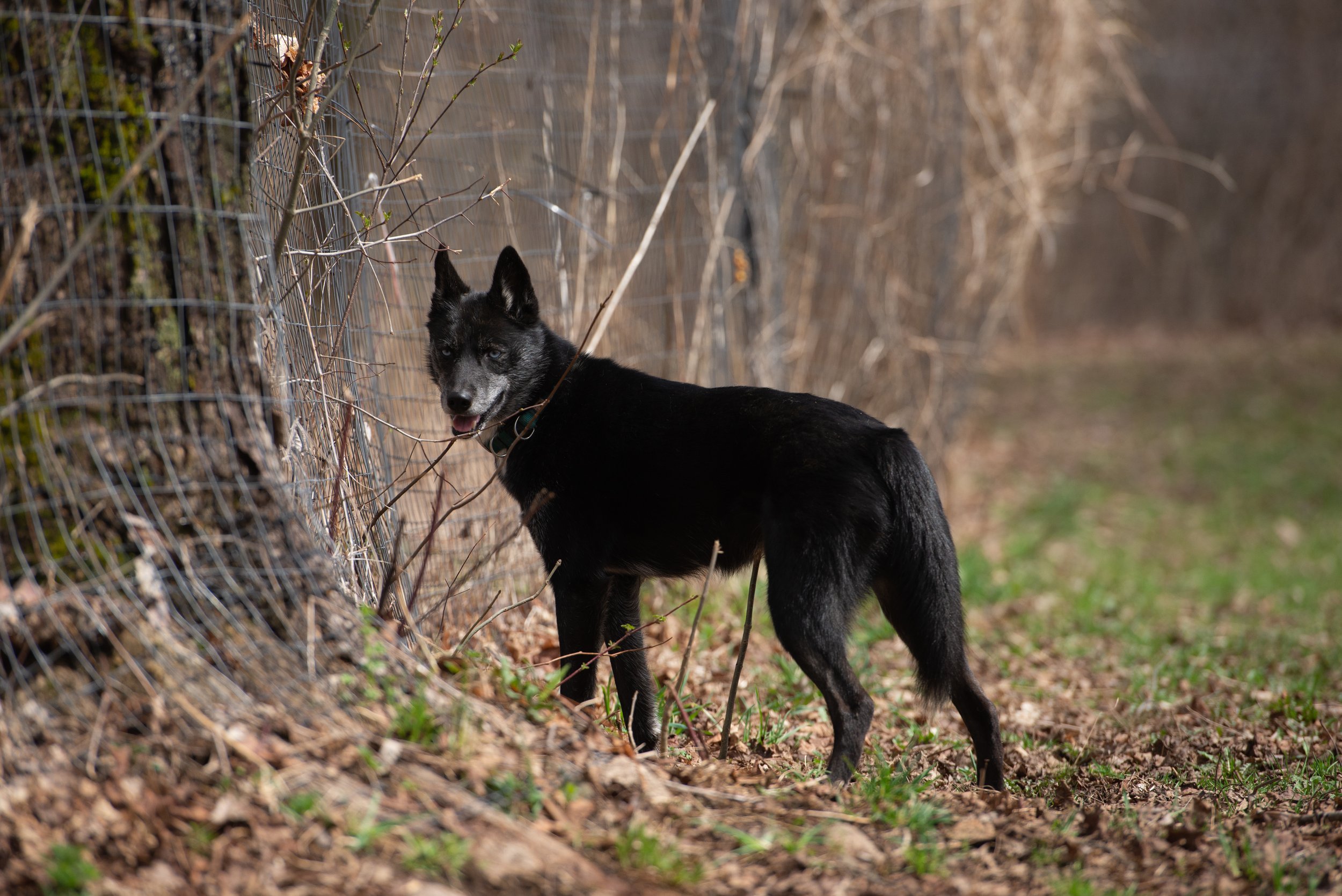 DSC_8367.jpg